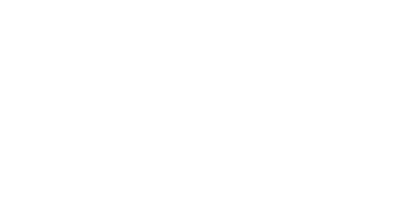 Fivetran Logo - White Padded